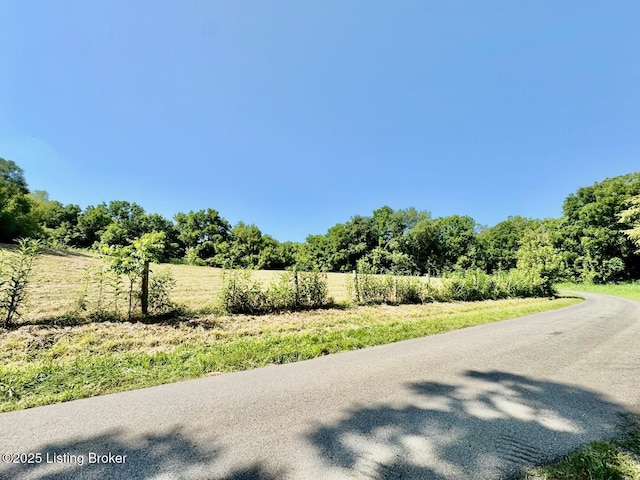 3500 Hardesty Rd, Willisburg, KY 40078 - photo 2