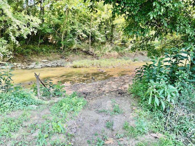 3500 Hardesty Rd, Willisburg, KY 40078 - photo 19