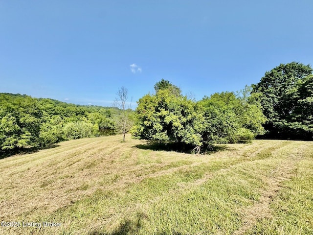 3500 Hardesty Rd, Willisburg, KY 40078 - photo 20