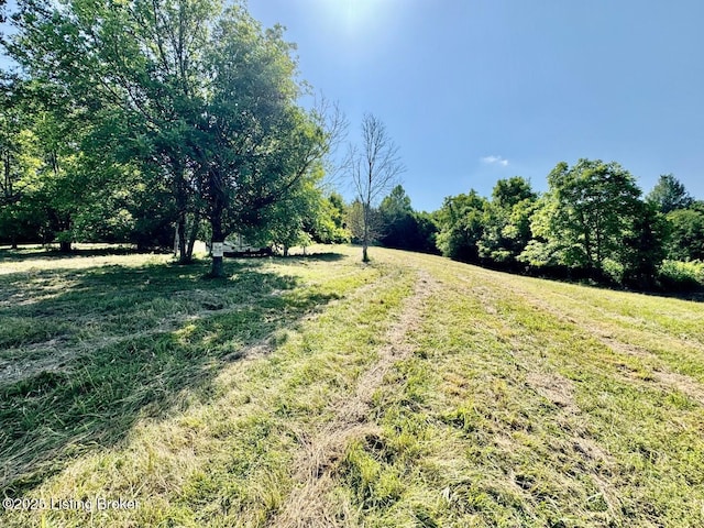 3500 Hardesty Rd, Willisburg, KY 40078 - photo 22