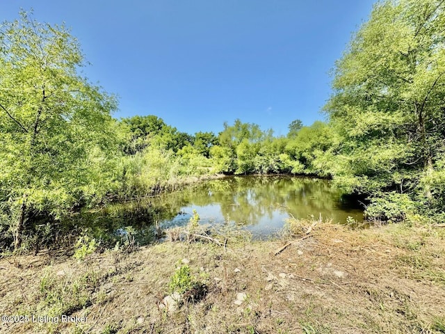3500 Hardesty Rd, Willisburg, KY 40078 - photo 23