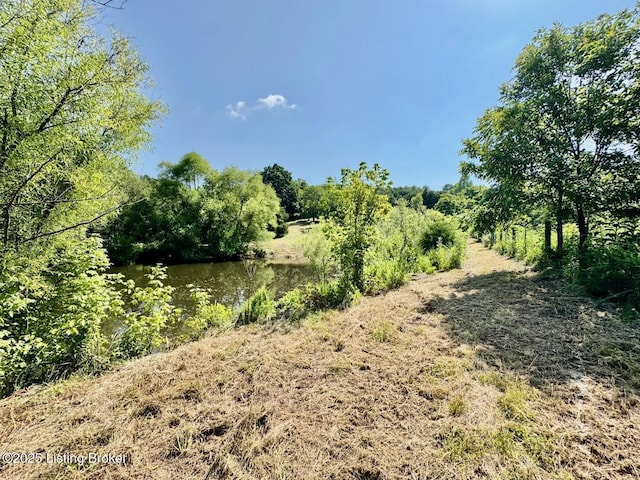 3500 Hardesty Rd, Willisburg, KY 40078 - photo 24