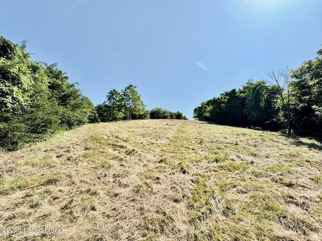 3500 Hardesty Rd, Willisburg, KY 40078 - photo 25