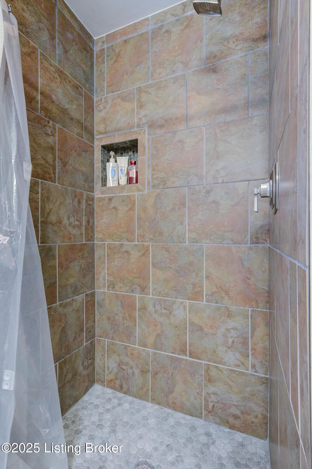 9602 Willowwood Way, Louisville, KY 40299 - bathroom with tiled shower