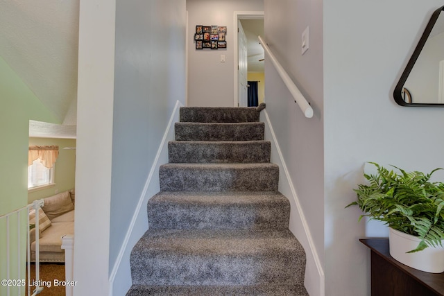 9602 Willowwood Way, Louisville, KY 40299 - staircase with carpet flooring