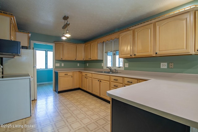 41 Raspberry Ct, Brandenburg, KY 40108 - kitchen featuring stove, light brown cabinetry, light floors, light countertops, and a textured ceiling