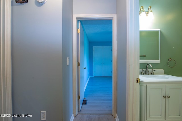 41 Raspberry Ct, Brandenburg, KY 40108 - hallway with a sink and light wood-type flooring