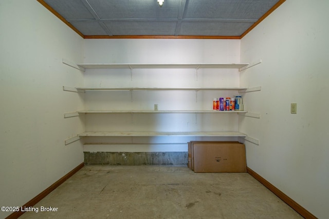 41 Raspberry Ct, Brandenburg, KY 40108 - view of storage room
