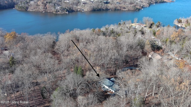 41 Raspberry Ct, Brandenburg, KY 40108 - bird's eye view of a nearby body of water