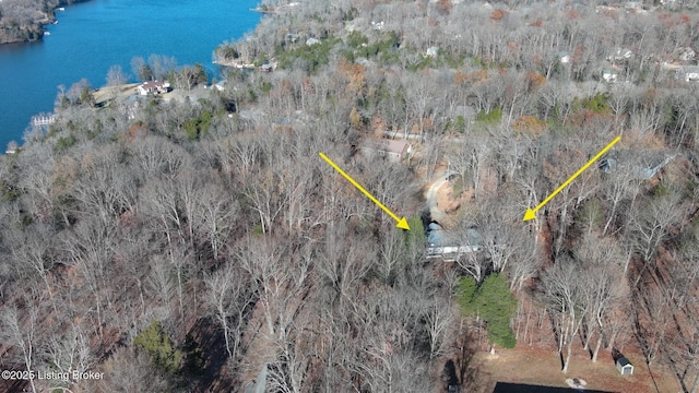 41 Raspberry Ct, Brandenburg, KY 40108 - bird's eye view of a nearby body of water
