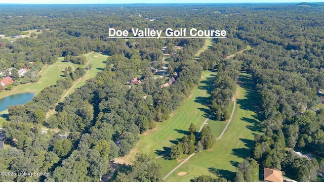 41 Raspberry Ct, Brandenburg, KY 40108 - view of property location with a large body of water and a golf club
