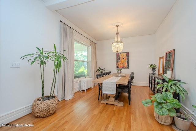1211 Everett Ave, Louisville, KY 40204 - dining room with radiator heating unit, light wood-type flooring, and a chandelier