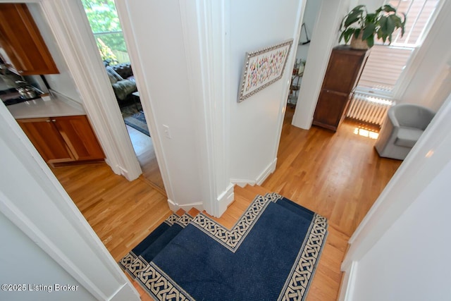 1211 Everett Ave, Louisville, KY 40204 - corridor with light wood finished floors and baseboards