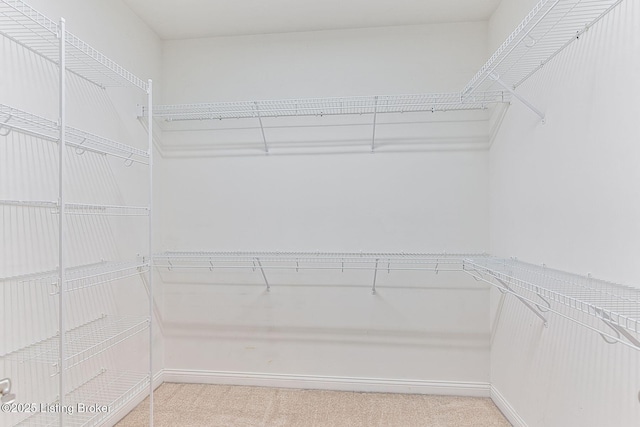 14518 Lake Village Dr Unit 4B, Louisville, KY 40299 - walk in closet with light colored carpet
