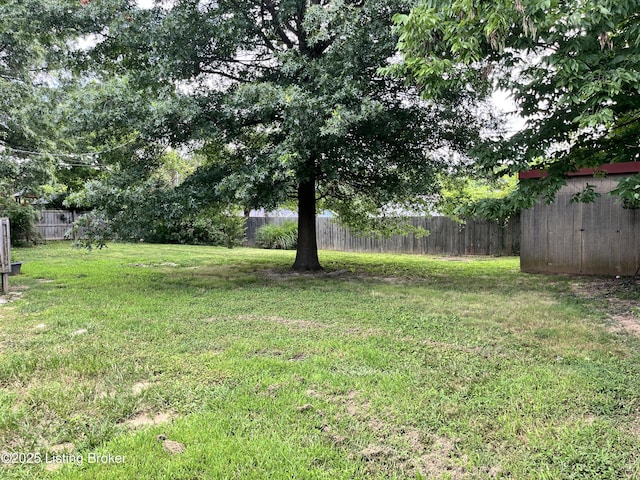 1407 Dotland Cir, Shelbyville, KY 40065 - photo 5