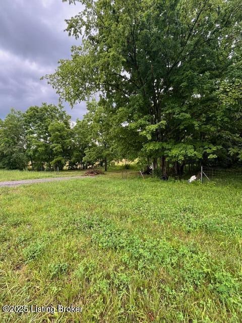 4286 Campbellsville Hwy, Lebanon, KY 40033 - photo 6
