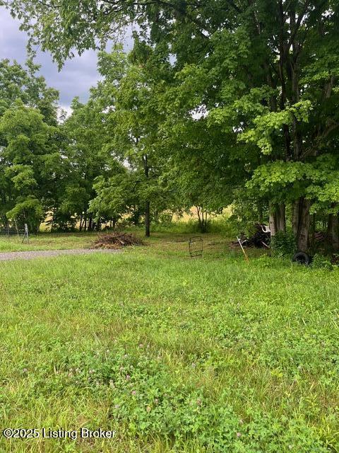 4286 Campbellsville Hwy, Lebanon, KY 40033 - photo 7