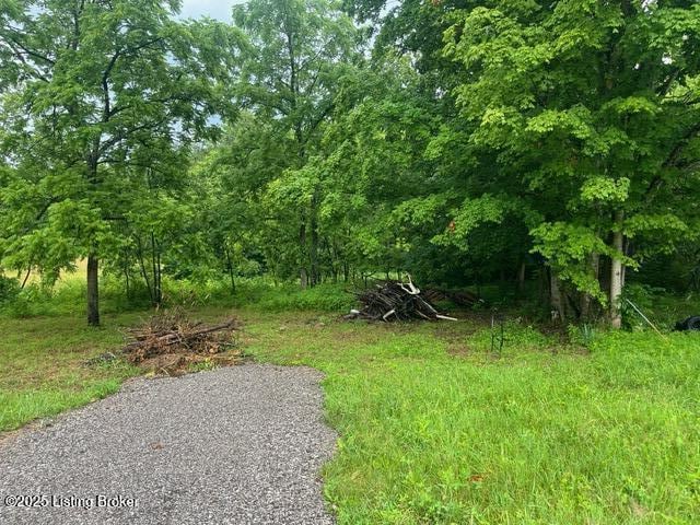 4286 Campbellsville Hwy, Lebanon, KY 40033 - photo 9