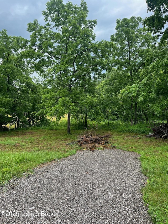 4286 Campbellsville Hwy, Lebanon, KY 40033 - photo 10