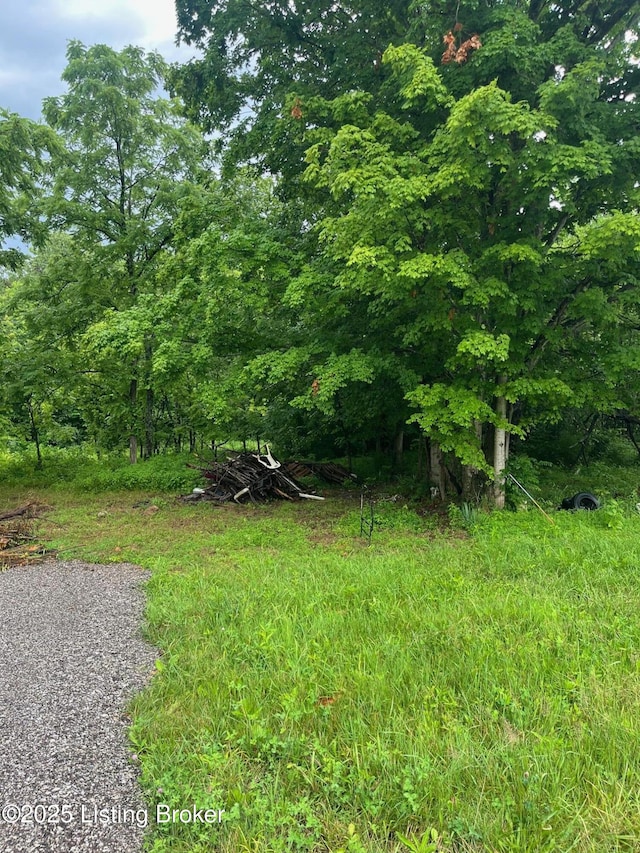 4286 Campbellsville Hwy, Lebanon, KY 40033 - photo 11