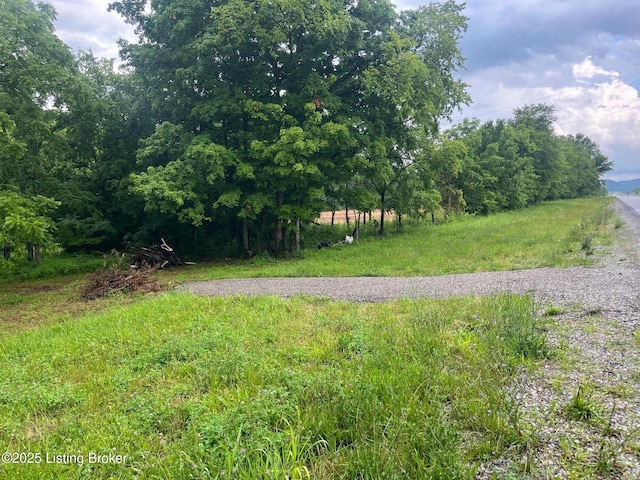 4286 Campbellsville Hwy, Lebanon, KY 40033 - photo 12