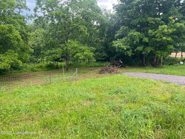 4286 Campbellsville Hwy, Lebanon, KY 40033 - photo 14
