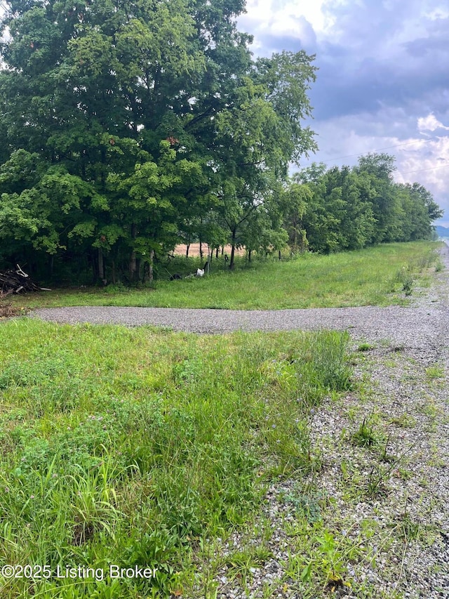 4286 Campbellsville Hwy, Lebanon, KY 40033 - photo 15