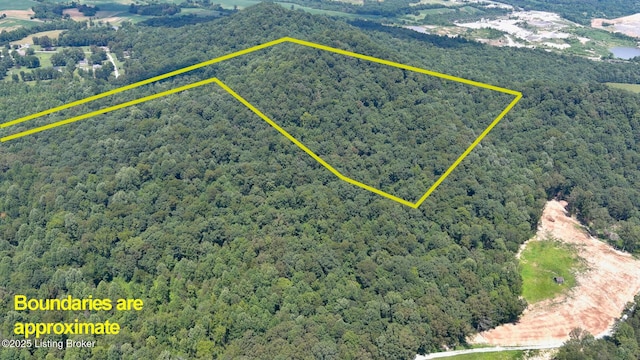 4286 Campbellsville Hwy, Lebanon, KY 40033 - photo 16