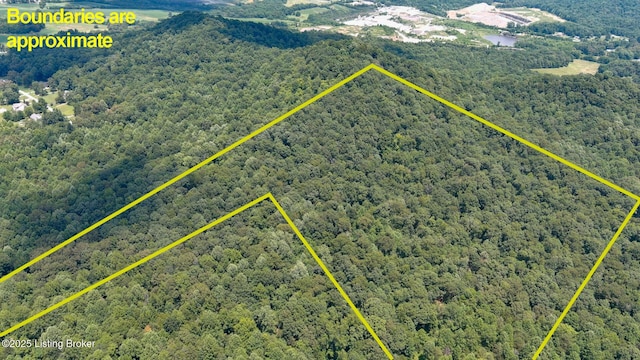 4286 Campbellsville Hwy, Lebanon, KY 40033 - photo 17
