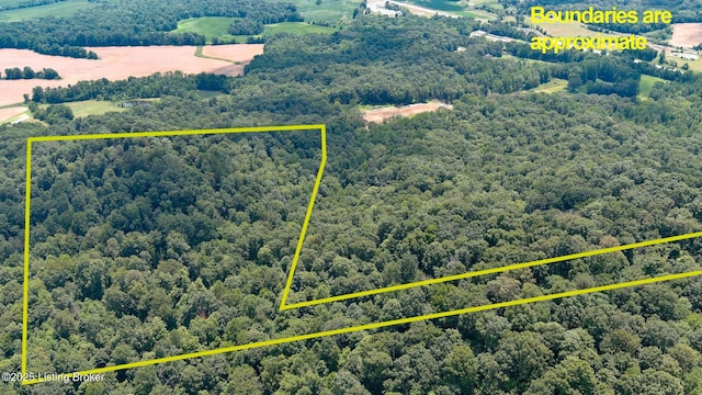 4286 Campbellsville Hwy, Lebanon, KY 40033 - photo 18