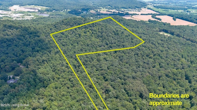 4286 Campbellsville Hwy, Lebanon, KY 40033 - photo 19