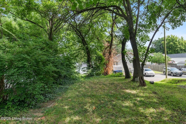 611 E Hill St, Louisville, KY 40217 - photo 33