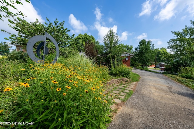 2910 Harrison Ave, Louisville, KY 40217 - photo 48