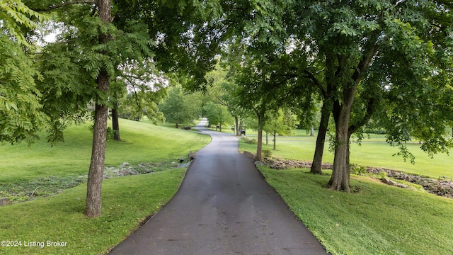 3707 Ten Broeck Way, Louisville, KY 40241 - photo 2