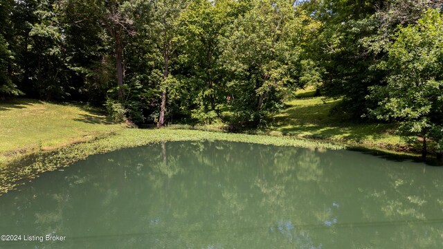 3707 Ten Broeck Way, Louisville, KY 40241 - photo 9