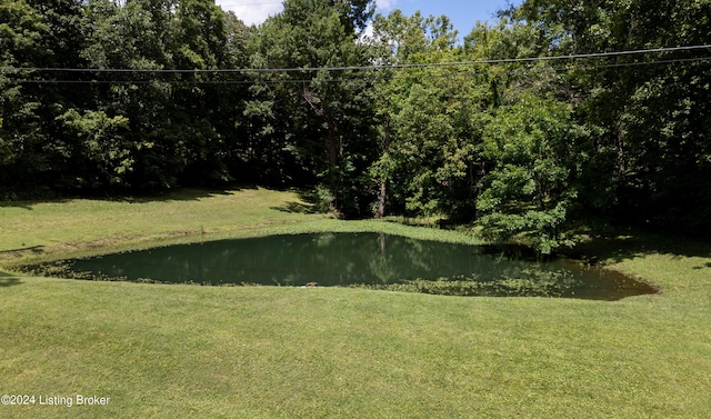 3707 Ten Broeck Way, Louisville, KY 40241 - photo 10
