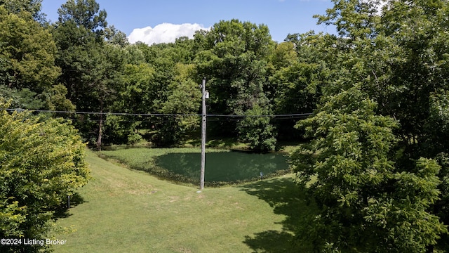 3707 Ten Broeck Way, Louisville, KY 40241 - photo 12