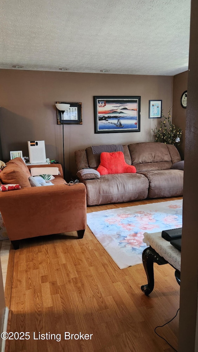 609 E Main St, Vine Grove, KY 40175 - living room featuring light wood finished floors and a textured ceiling