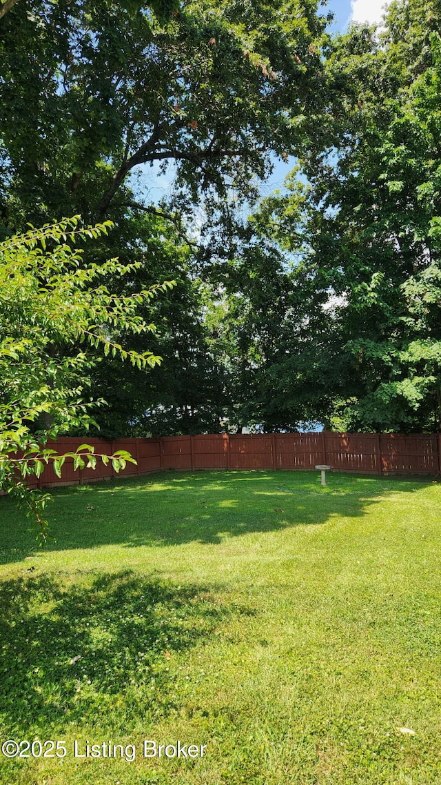 609 E Main St, Vine Grove, KY 40175 - view of yard