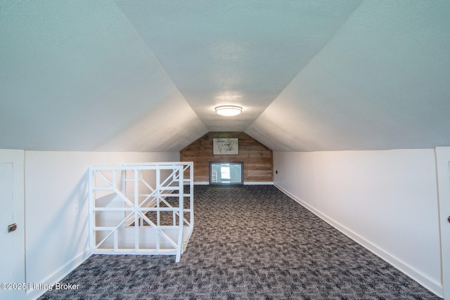 650 Midway Rd, Guston, KY 40142 - bonus room featuring carpet, lofted ceiling, and a textured ceiling