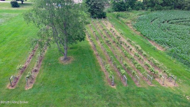 650 Midway Rd, Guston, KY 40142 - view of property location with farmland and rural landscape