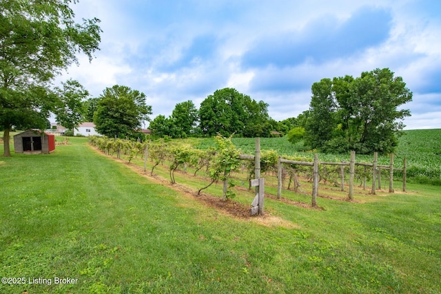 650 Midway Rd, Guston, KY 40142 - view of yard with a rural view and an outdoor structure