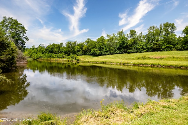 2425 Buzzard Roost Rd, Waddy, KY 40076 - photo 34