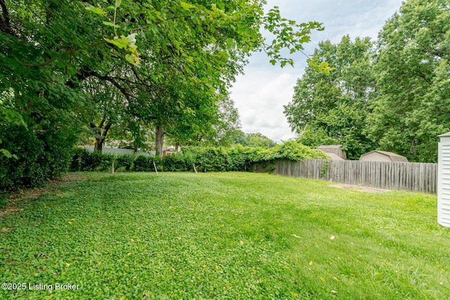 1117 Loretta St, Louisville, KY 40213 - photo 30