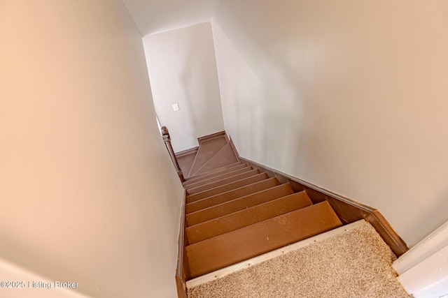1117 Loretta St, Louisville, KY 40213 - photo 20