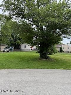 1606 Betances Ct, La Grange, KY 40031 - photo 2