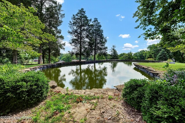 5316 Lee Ave, Crestwood, KY 40014 - photo 40
