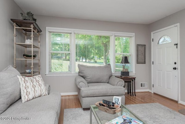 1701 Quarry Hill Rd, Louisville, KY 40213 - living area with plenty of natural light and wood finished floors