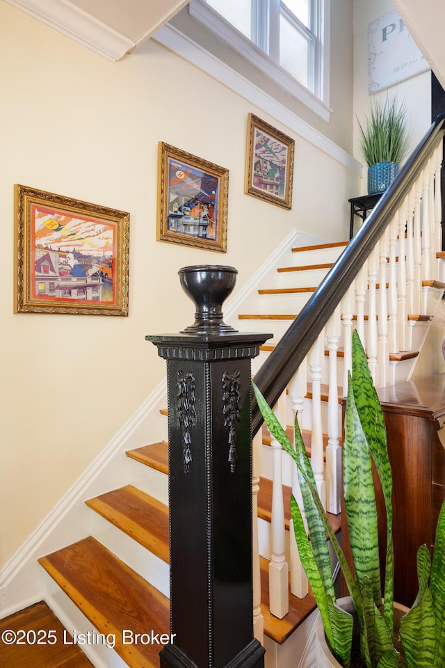 236 S Bayly Ave, Louisville, KY 40206 - photo 10