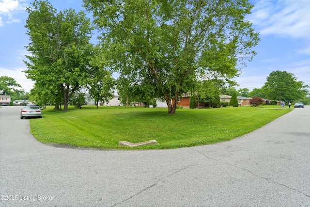 8703 Fernview Dr, Louisville, KY 40291 - view of asphalt road